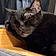 Berlioz