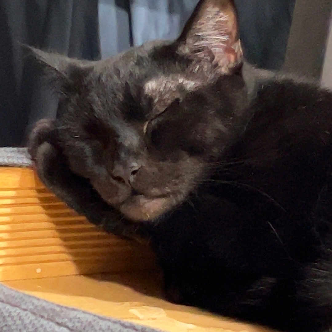 Berlioz
