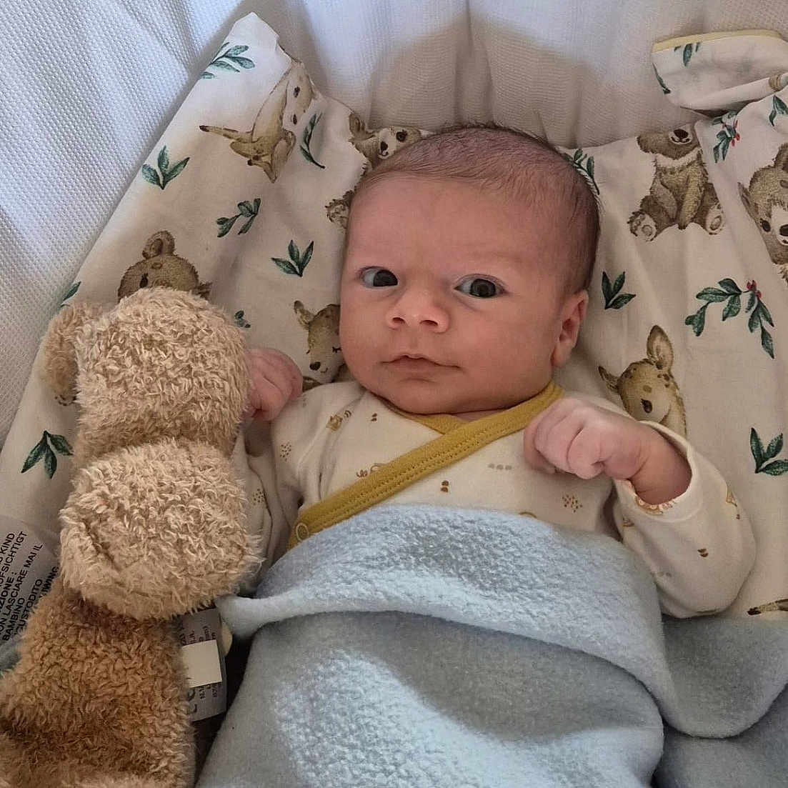 Tyler participe au concours pour gagner de l'argent avec cette photo : baby, infant, blanket, bassinet, stuffed_animal, plush_toy, face, person, sleeping_area, bed, comfort, cute, newborn, clothing, teddy_bear, resting, indoor, soft, child, portrait