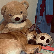 Stitch a rejoint le concours — aidez-le/la à gagner de superbes lots ! dog, sleeping, teddy_bear, plush_toy, blanket, bedroom, cozy, indoor, paw_cushion, fur, relaxation, animal, cute, resting, soft, stuffed_animal, fabric, home, comfort, blue_clothing