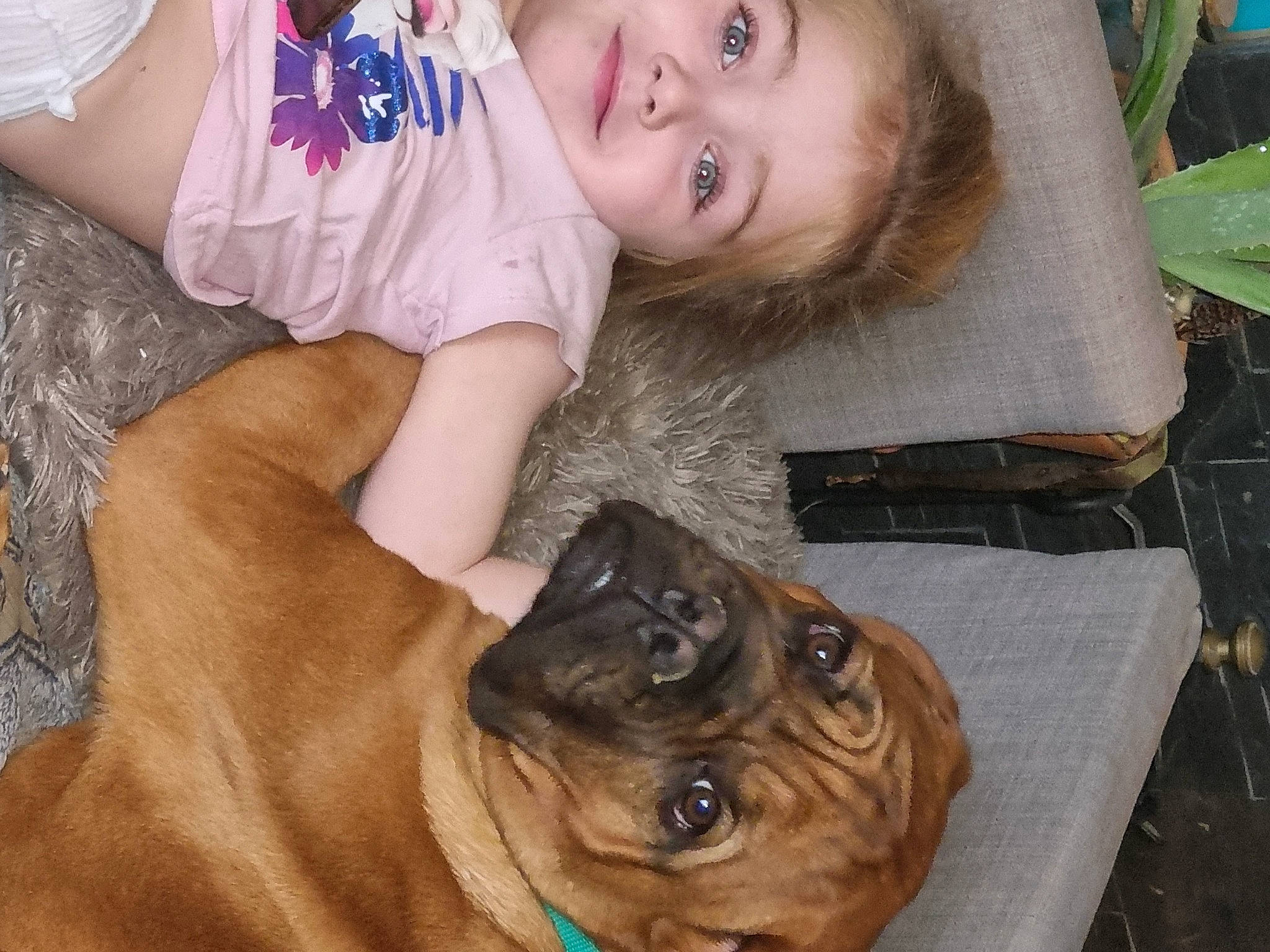 Leyna participe au concours pour gagner de l'argent avec cette photo : baby, baby_toddler_clothing, canidae, carnivore, child, companion_dog, dog, dog_breed, eye, fawn, fur, happy, head, organ, person, skin, sleeve, snout, sporting_group, toddler