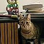 cat, tabby, curious, desk, books, dragon_statue, wooden_slats, power_strip, indoor, clutter, feline, pet, animal, curiosity, mystical, decor, stacked_books, whiskers, ears, sitting