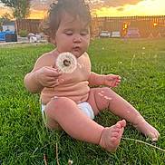 Melea is registered to the contest to win money with this photo: child, toddler, grass, dandelion, sunset, outdoor, barefoot, nature, curly_hair, diaper, greenery, fence, sky, clouds, sunlight, playing, caucasian, summer, baby, portrait