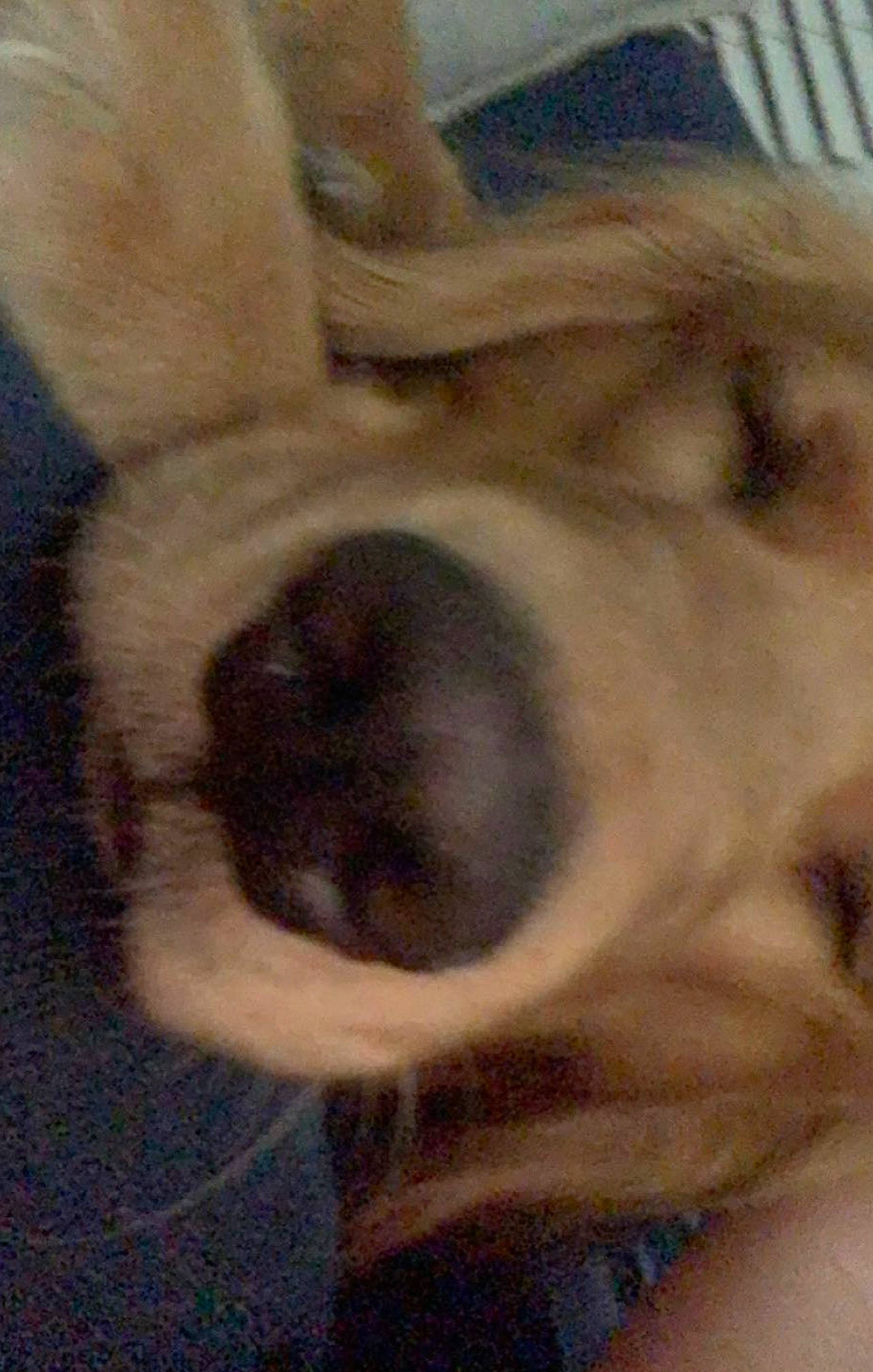 Mickey joined the competition — help win amazing prizes! art, canidae, companion_dog, dog_breed, drawing, eyelash, fawn, foot, fur, human_leg, painting, paw, snout, sporting_group, tail, terrestrial_animal, tree, visual_arts, whiskers, working_animal