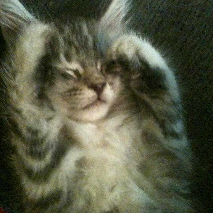 Sebastian joined the competition — help win amazing prizes!