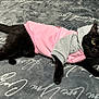 animal, black_cat, blanket, casual, cat, clothing, comfort, cozy, cute, domestic_animal, feline, hoodie, indoor, lying_down, pet, relaxed, script, soft_texture, text, wearing_clothes