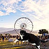 cat, black_and_white, ferris_wheel, crowd, festival, outdoor, sky, clouds, mountains, grass, people, fence, daytime, trees, palm_tree, sunlight, shadow, leaping_cat, large_cat, surreal