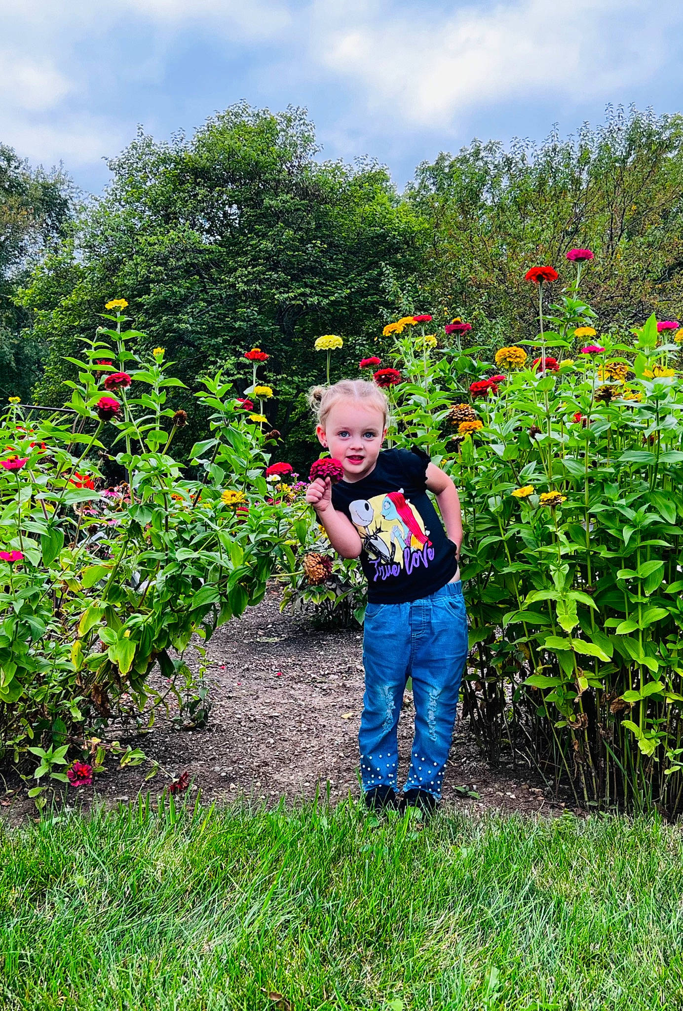 Sherry joined the competition — help win amazing prizes! agriculture, annual_plant, cloud, field, flower, flowering_plant, grass, grassland, groundcover, landscape, meadow, natural_landscape, people_in_nature, person, plant, plantation, prairie, rose_family, shrub, sky