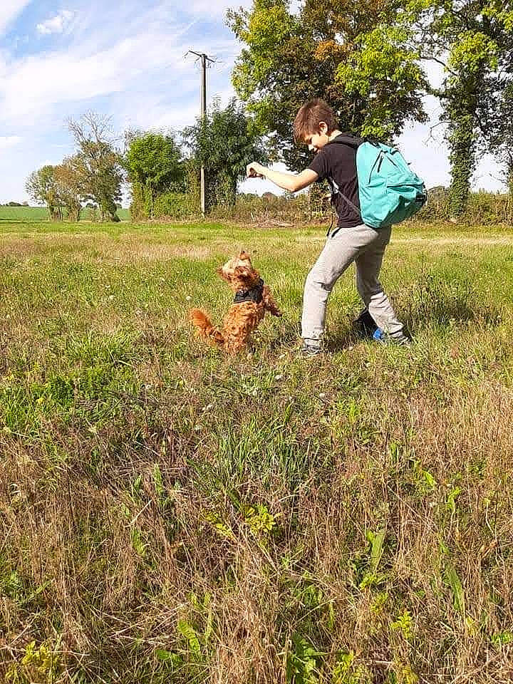 Kiss a rejoint le concours — aidez-le/la à gagner de superbes lots ! agriculture, cloud, fawn, field, grass, grassland, happy, landscape, meadow, natural_landscape, pasture, people_in_nature, plant, plantation, prairie, recreation, shrub, sky, soil, tree