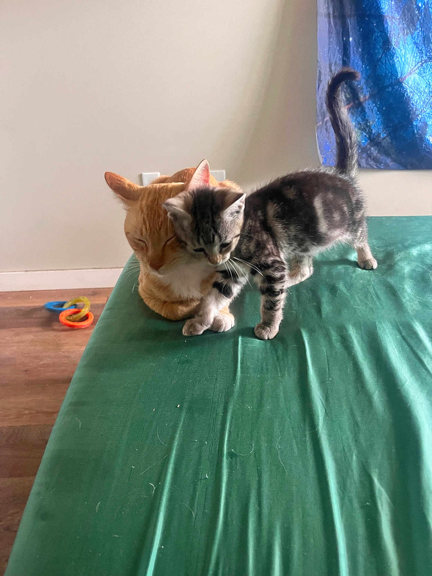 Leo And Buddha