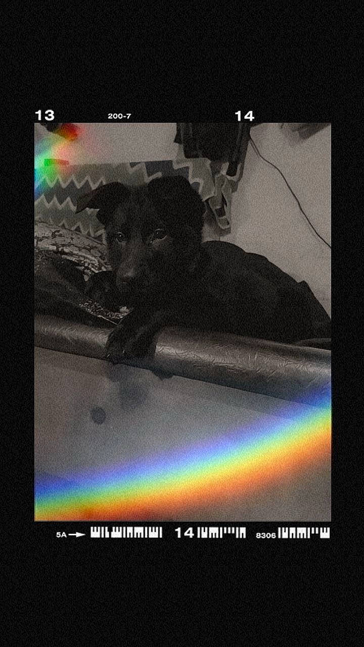 Freya is registered to the contest to win money with this photo: astronomical_object, circle, darkness, display_device, electric_blue, font, gadget, graphic_design, graphics, meteorological_phenomenon, multimedia, multimedia_software, natural_landscape, rainbow, rectangle, science, screenshot, software, space, world