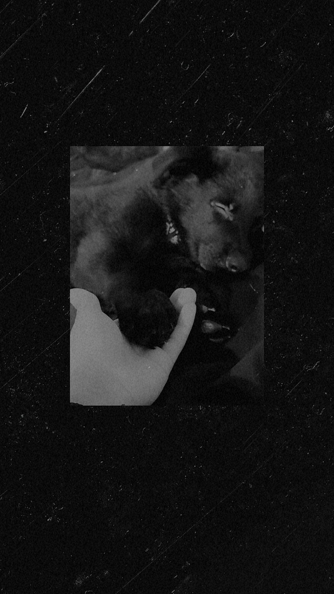 Freya is registered to the contest to win money with this photo: art, astronomical_object, black_and_white, darkness, flash_photography, flesh, font, gesture, grey, jaw, monochrome, monochrome_photography, portrait, rock, room, shadow, sky, still_life_photography, tints_and_shades, visual_arts