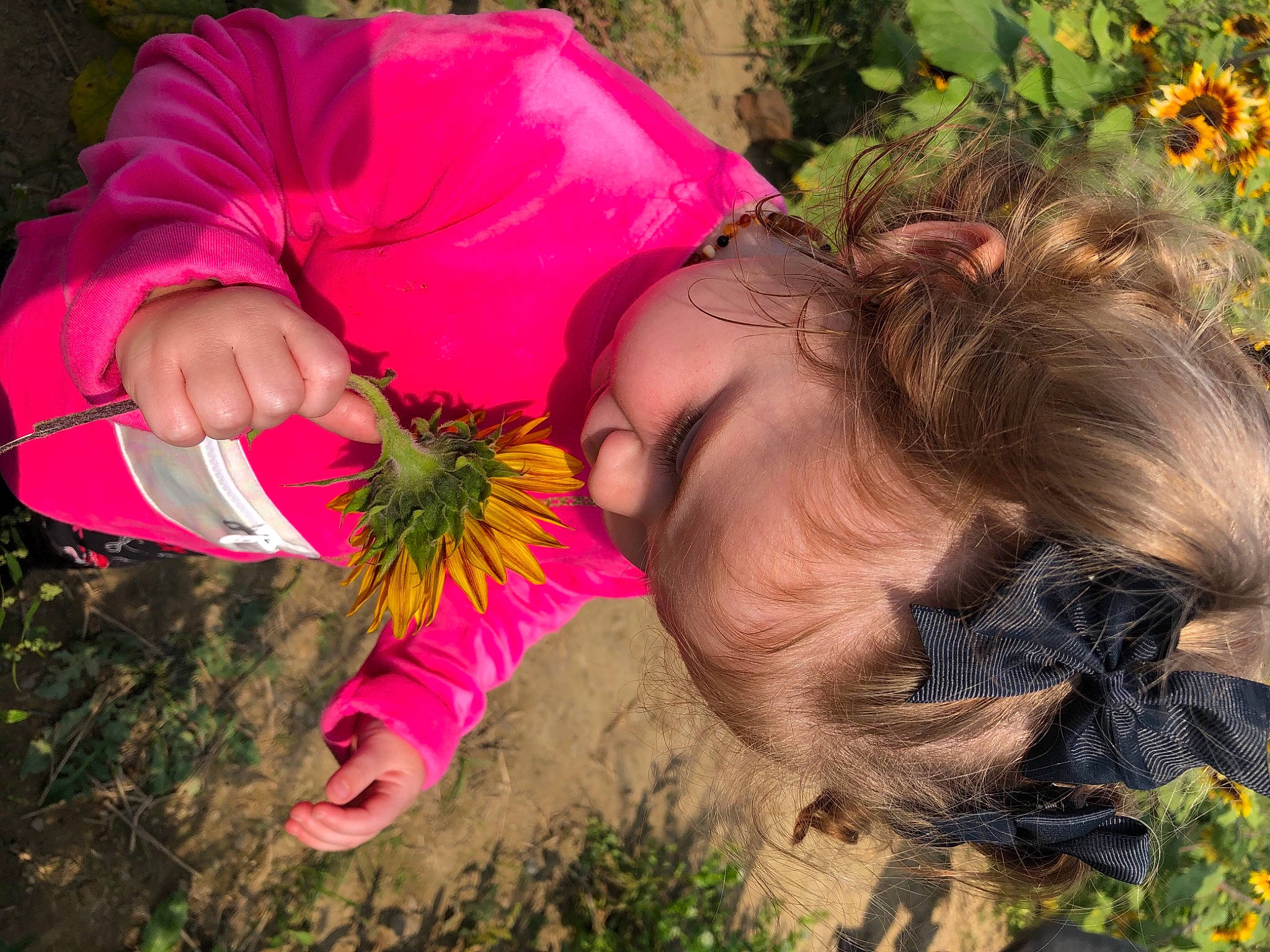 Arriyah joined the competition — help win amazing prizes! annual_plant, brown_hair, cut_flowers, daisy_family, floral_design, floristry, flower_arranging, flowering_plant, love, magenta, people_in_nature, person, petal, shrub, spring, sunflower, wildflower