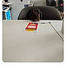 Iatus a rejoint le concours — aidez-le/la à gagner de superbes lots ! dog, pet, table, chair, office, indoor, modern, white, black_dog, furniture, pen, paper, minimalist, waiting, cute, animal, small_dog, office_supplies, desk, room