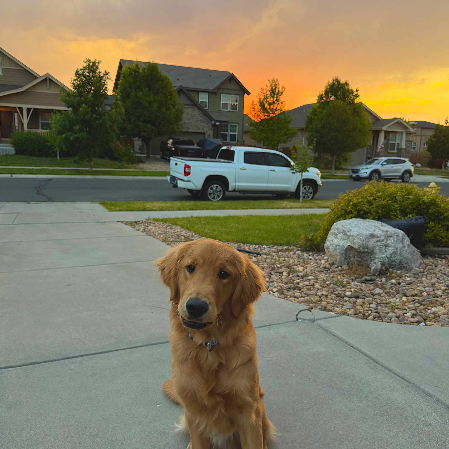 Oakley