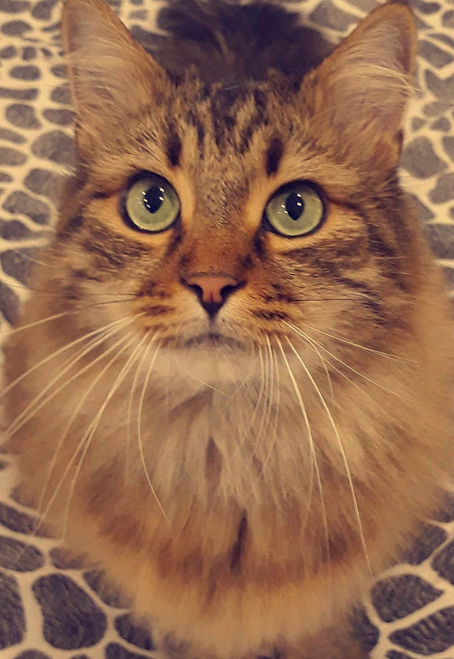 Jerry