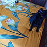 Tachoune participe au concours pour gagner de l'argent avec cette photo : animal, bed, bedspread, black_cat, blue, cat, cozy, curious, domestic, feline, floral_pattern, furniture, indoor, pet, relaxed, resting, sleepy, white_cat, wood, yellow