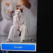 Tachoune participe au concours pour gagner de l'argent avec cette photo : artwork, background, cat, chair, close_up, creative, digital_art, download_icon, face, feline, interface, monochrome, person, portrait, screen, seated, studio, surreal, thoughtful_pose, white_suit