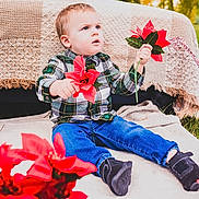 Benjamin joined the competition — help win amazing prizes! baby_face, blanket, boy, bright_colors, child, cute, flowers, grass, hands, jeans, looking_up, outdoor, plaid_shirt, poinsettia, portrait, red_flowers, seasonal, shoes, sitting, toddler