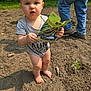 Benjamin joined the competition — help win amazing prizes! baby, child, barefoot, holding, packet, seed_packet, green_beans, outdoor, dirt, soil, garden, person, standing, jeans, boots, adult, fence, vegetable_seeds, sunlight, curious