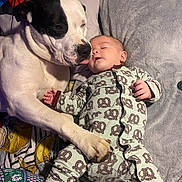 Savvy joined the competition — help win amazing prizes! animal, baby, bed, black_and_white_dog, blanket, child, comfort, cozy, cuddle, cute, dog, indoor, infant, nap, pajamas, pillow, pretzel_pattern, resting, sleeping, togetherness