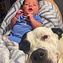 baby, dog, blanket, blue_clothing, indoor, resting, cute, relaxation, friendship, comfort, pet, infant, animal, soft_texture, bond, face, expression, home, warmth, companionship