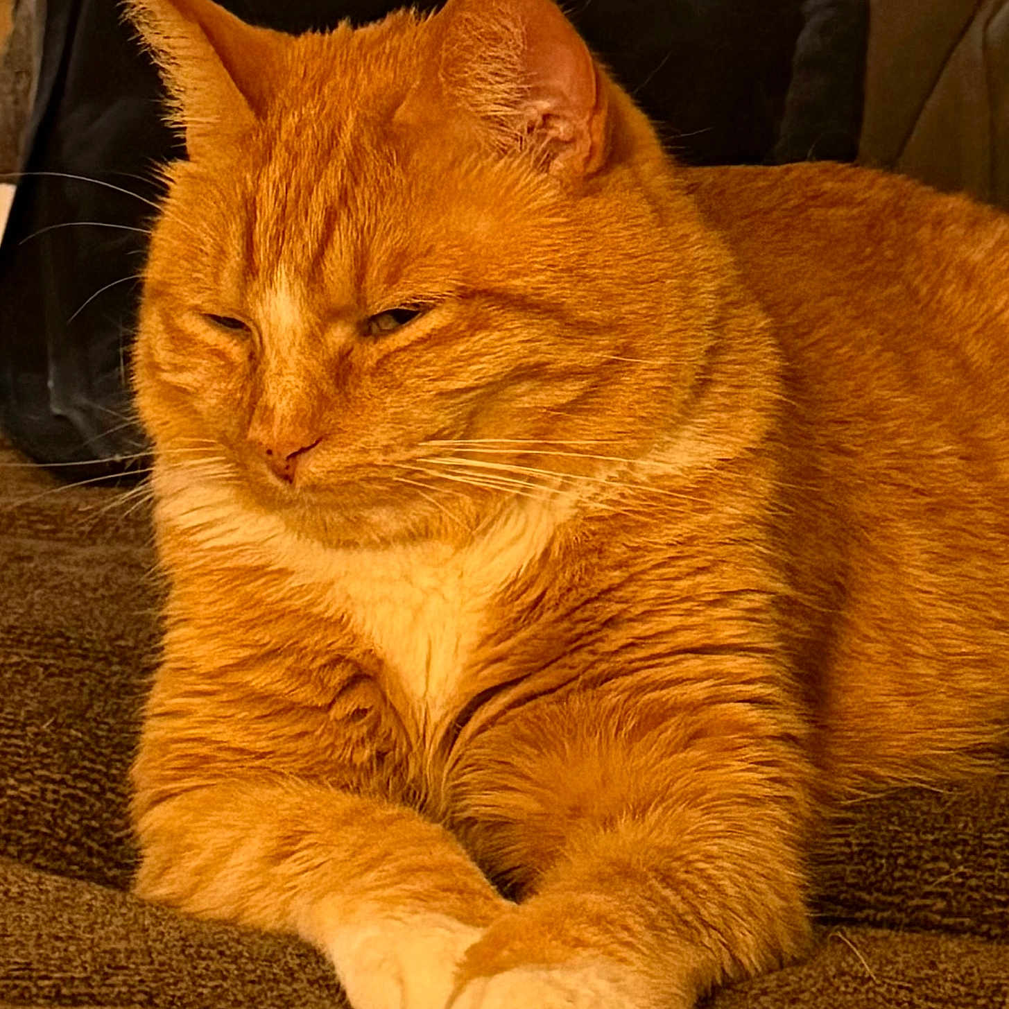 Sampson