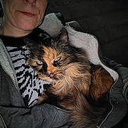 Papuche participe au concours pour gagner de l'argent avec cette photo : person, cat, tortoiseshell_cat, pet, animal, fur, jacket, zipper, closeup, portrait, indoor, cozy, snuggling, face, feline, warm, dark_background, casual_clothing, resting, companion
