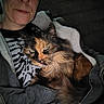 person, cat, tortoiseshell_cat, pet, animal, fur, jacket, zipper, closeup, portrait, indoor, cozy, snuggling, face, feline, warm, dark_background, casual_clothing, resting, companion