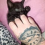 kitten, black_cat, blue_eyes, hand, tattoo, playful, bite, pink_background, leopard_print, claws, paw, close_up, pet, animal, cute, feline, indoor, soft_texture, human_hand, interaction