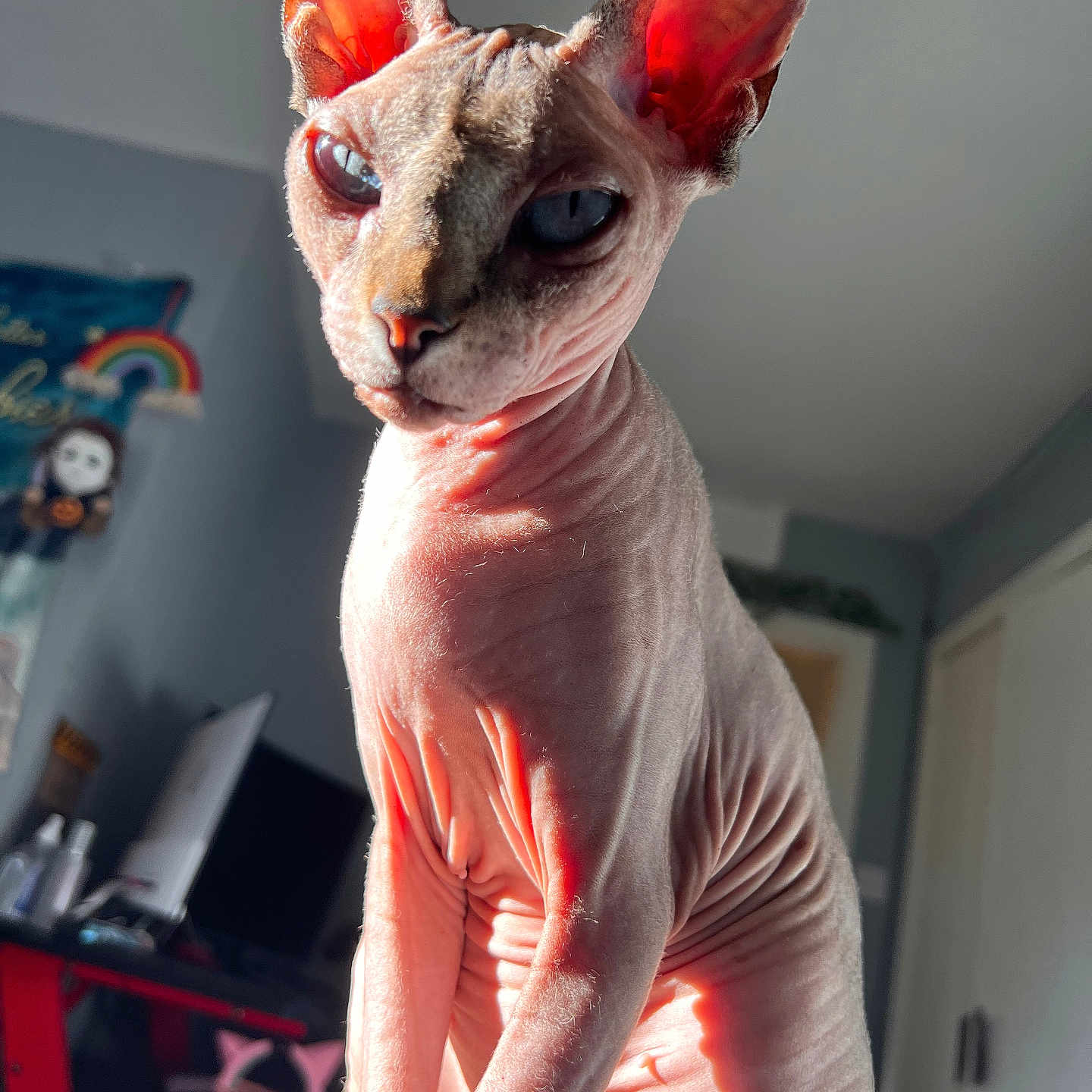 Pearla