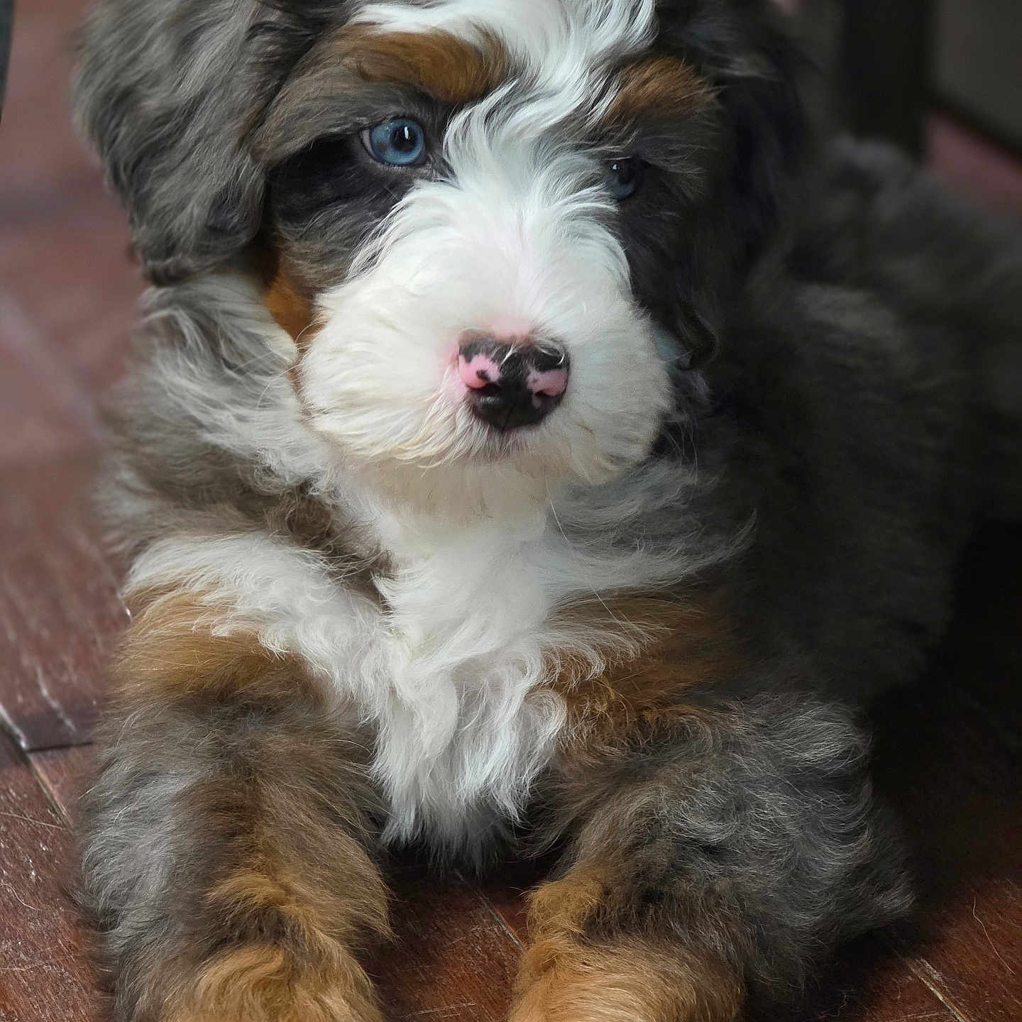 Astro