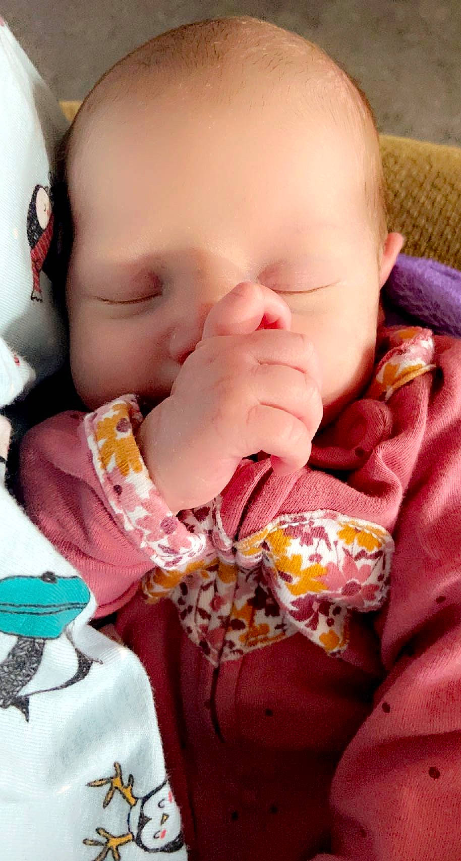 Knoxley joined the competition — help win amazing prizes! baby, baby_sleeping, baby_toddler_clothing, cheek, chin, comfort, eyelash, facial_expression, finger, gesture, human_body, lip, mouth, nose, organ, person, pink, product, skin, sleeve