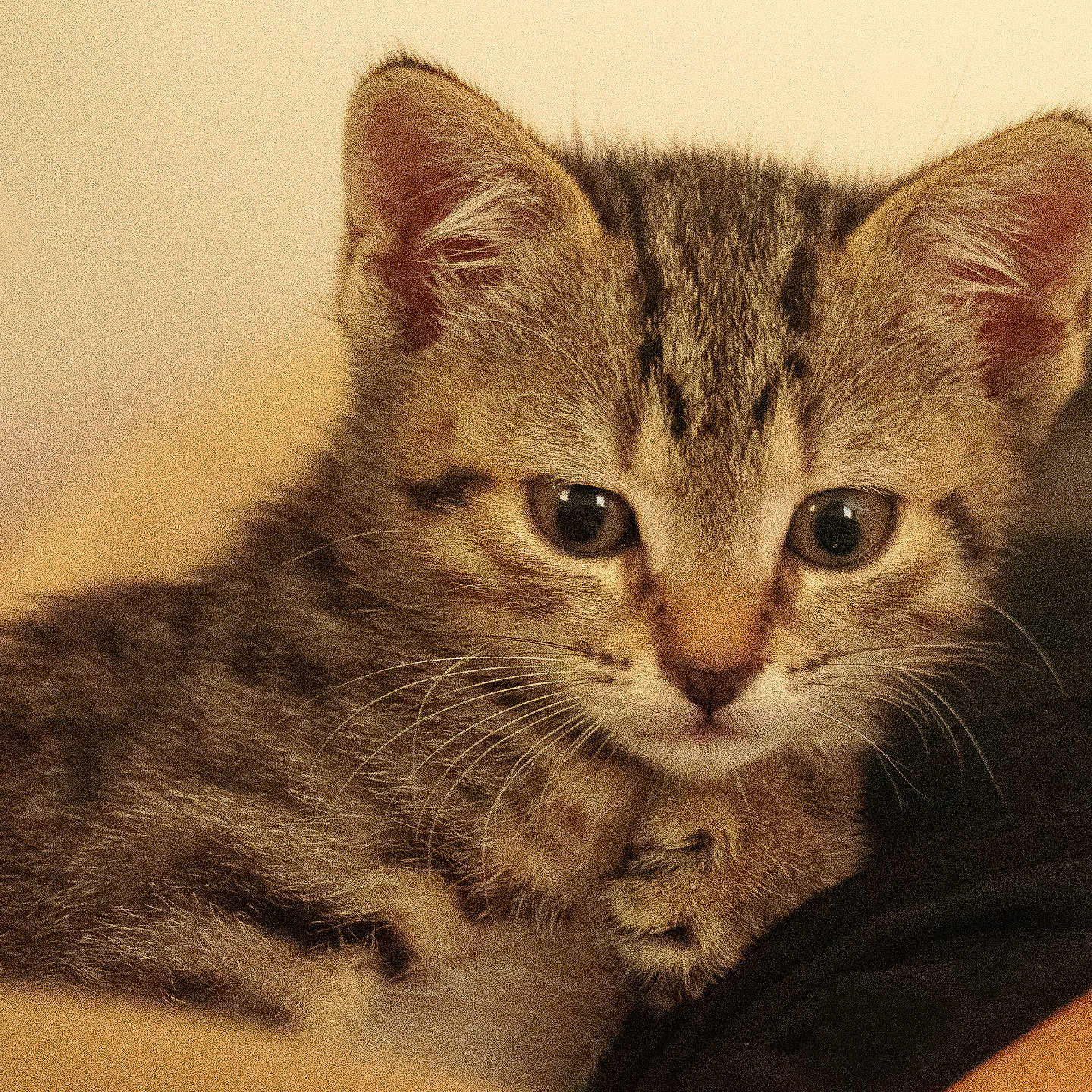 Choukette