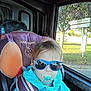 child, toddler, sunglasses, pacifier, car_seat, seatbelt, blue_jacket, window, car_interior, road_sign, tree, sunlight, outdoor, road, transport, seat, person, baby, portrait, daytime