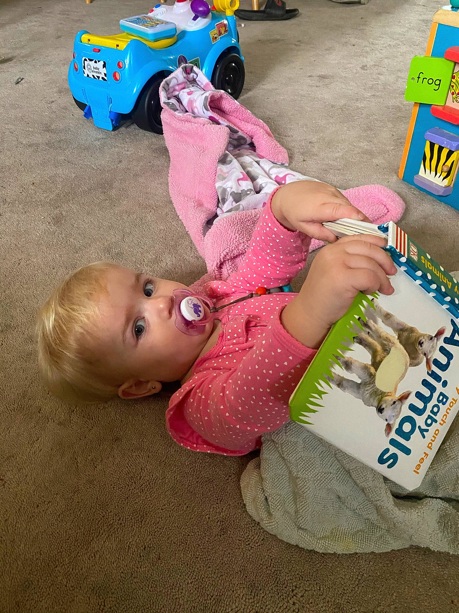 Harlow is registered to the contest to win money with this photo: child, person, play, toddler