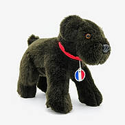 Némo participe au concours pour gagner de l'argent avec cette photo : baby_toys, canidae, carnivore, collar, companion_dog, dog, dog_breed, fashion_accessory, fawn, fur, liver, pet_supply, plush, snout, sporting_group, stuffed_toy, terrestrial_animal, toy, water_dog, working_animal