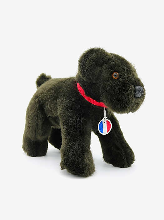 Némo