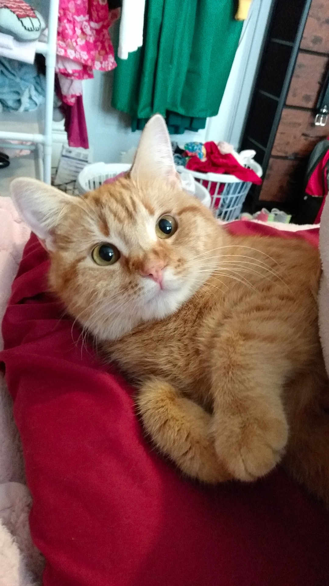 Penny