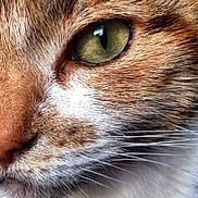 Tinkerbell joined the competition — help win amazing prizes!