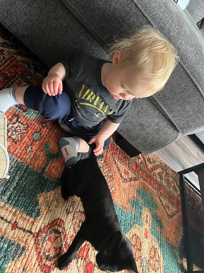 Lucius is registered to the contest to win money with this photo: comfort, companion_dog, cool, couch, dog, flooring, foot, human_leg, knee, lap, leg, pattern, person, shoe, sitting, sneakers, sock, tail, textile, thigh