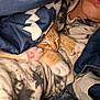 kitten, cat, sleeping, paw, person, blanket, clothing, cozy, rest, nap, orange_cat, white_paw, indoors, comfort, soft, warm, close_up, cuddle, cute, pet