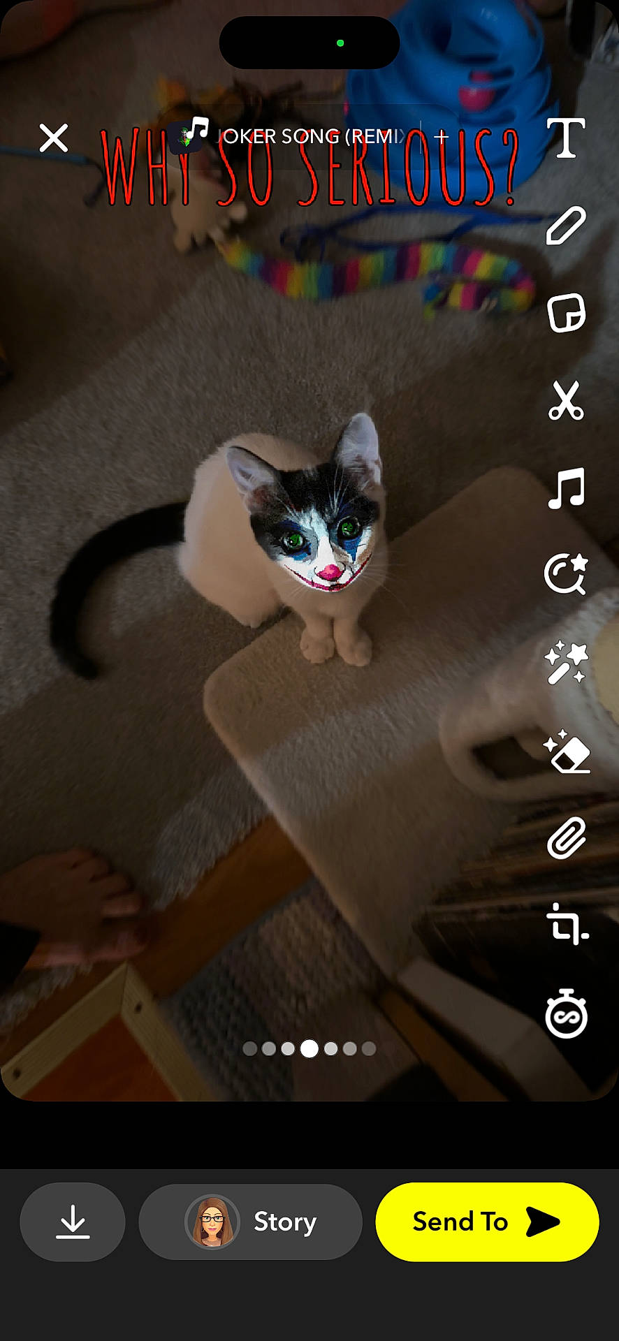 Ms Kitty joined the competition — help win amazing prizes! abyssinian, animal, art, baby, blackcat, box, cat, collage, computerhardware, electronics, homedecor, indoors, kitten, manx, person, pet, plywood, siamese, text, wood