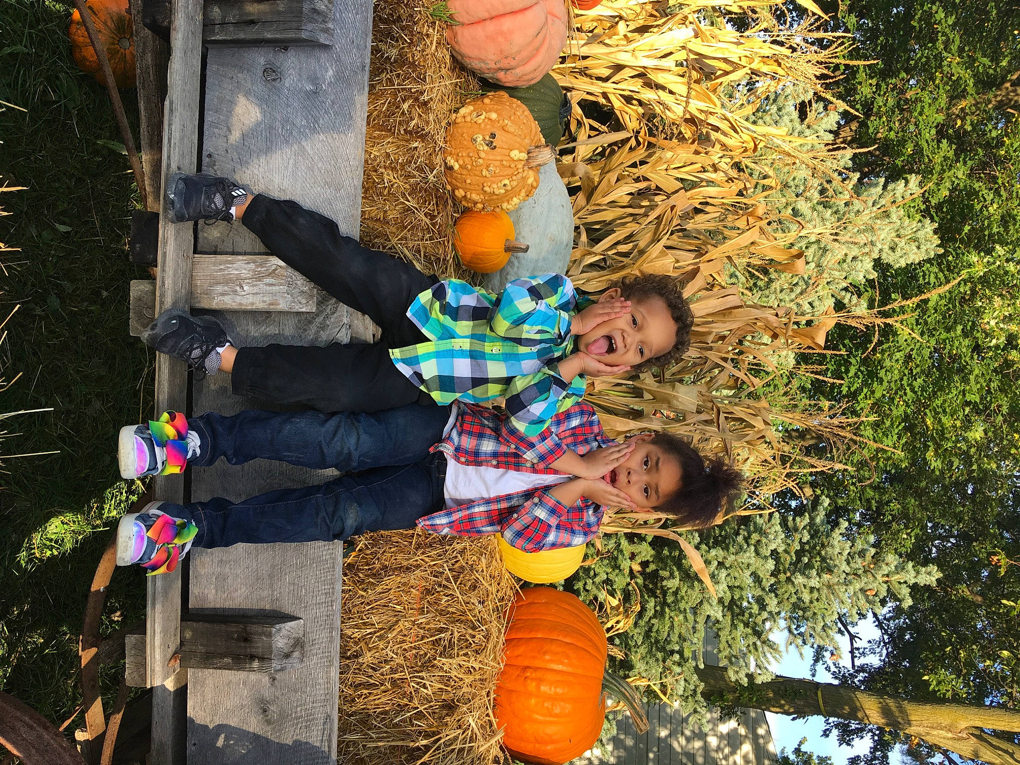 Landyn is registered to the contest to win money with this photo: branch, electric_blue, fun, grass, happy, human, leaf, leisure, lighting, nature, orange, organism, people, people_in_nature, person, plant, spring, tree, trunk, woody_plant