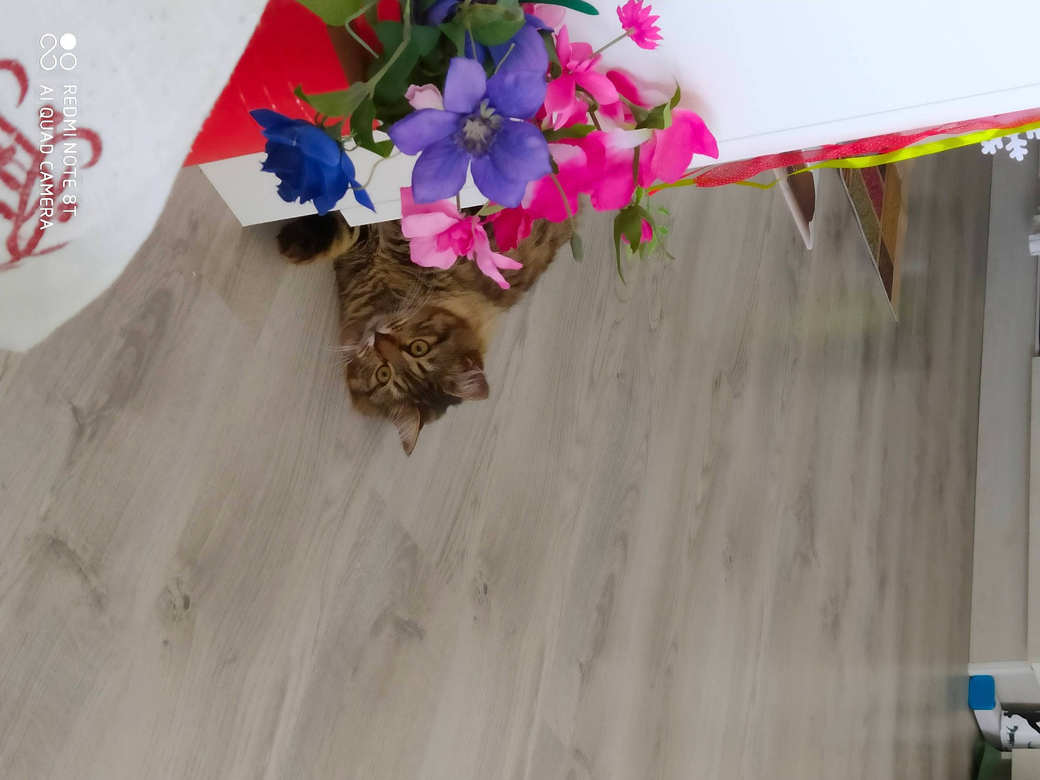 Nouchka participe au concours pour gagner de l'argent avec cette photo : artificial_flower, bouquet, carmine, creative_arts, cut_flowers, floral_design, floristry, flower, flower_arranging, petal, symbol