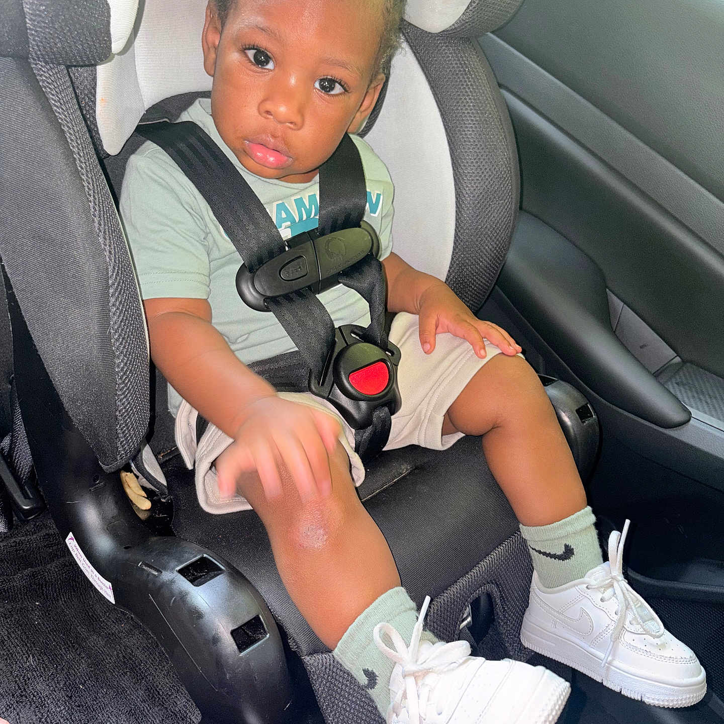 Kamdyn