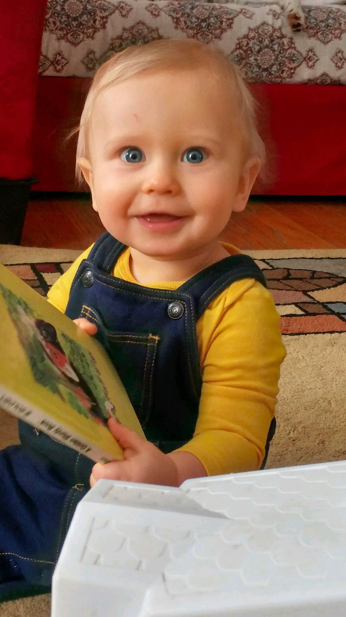 Gordon is registered to the contest to win money with this photo: baby, baby_toddler_clothing, blond, child, couch, iris, joy, learning, linens, living_room, mouth, person, pillow, publication, reading, toddler