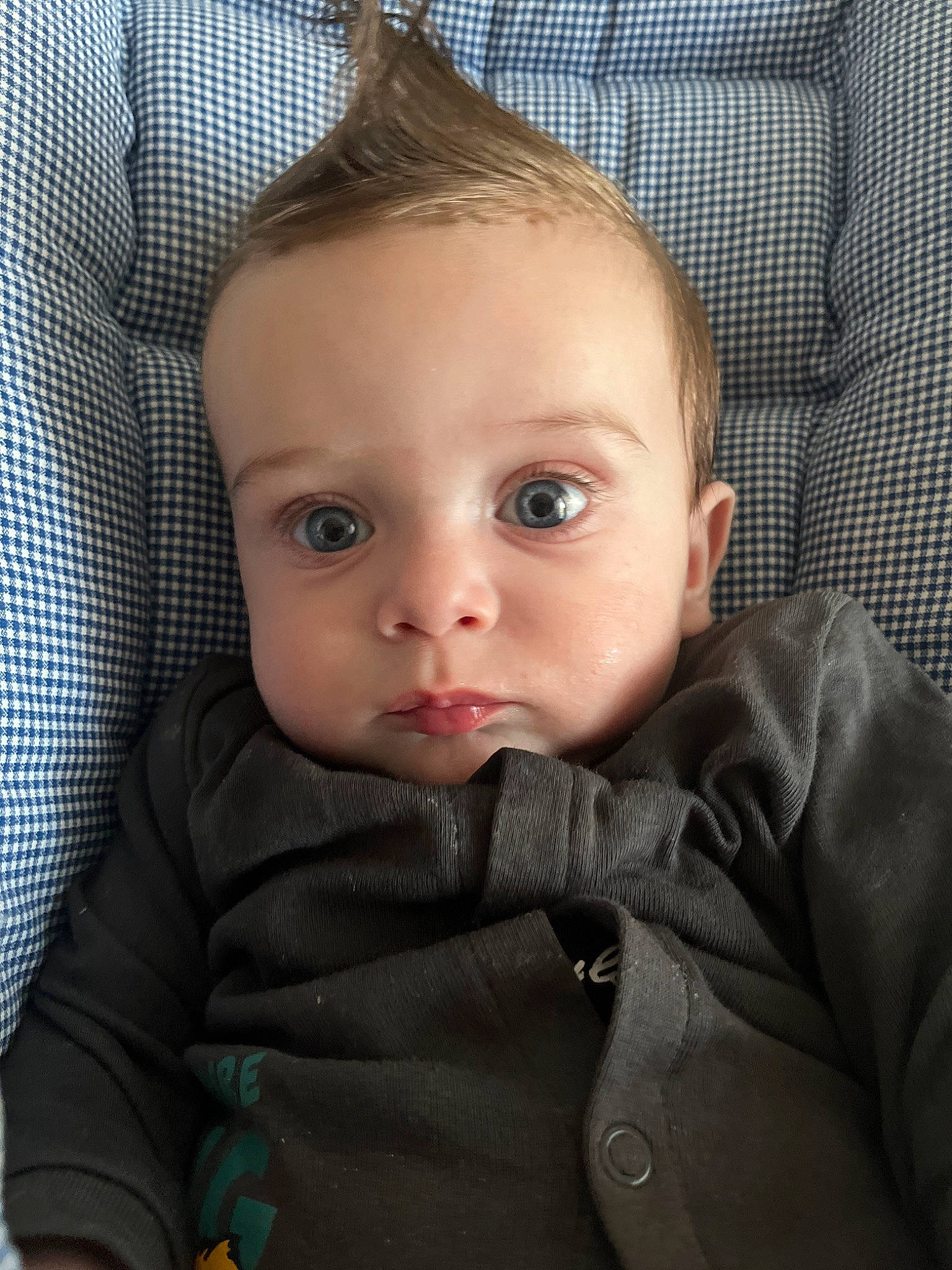 Leandro participe au concours pour gagner de l'argent avec cette photo : baby, baby_products, baby_toddler_clothing, cheek, child, comfort, ear, eyelash, face, iris, linens, lip, mammal, nose, outerwear, person, product, sitting, skin, sleeve