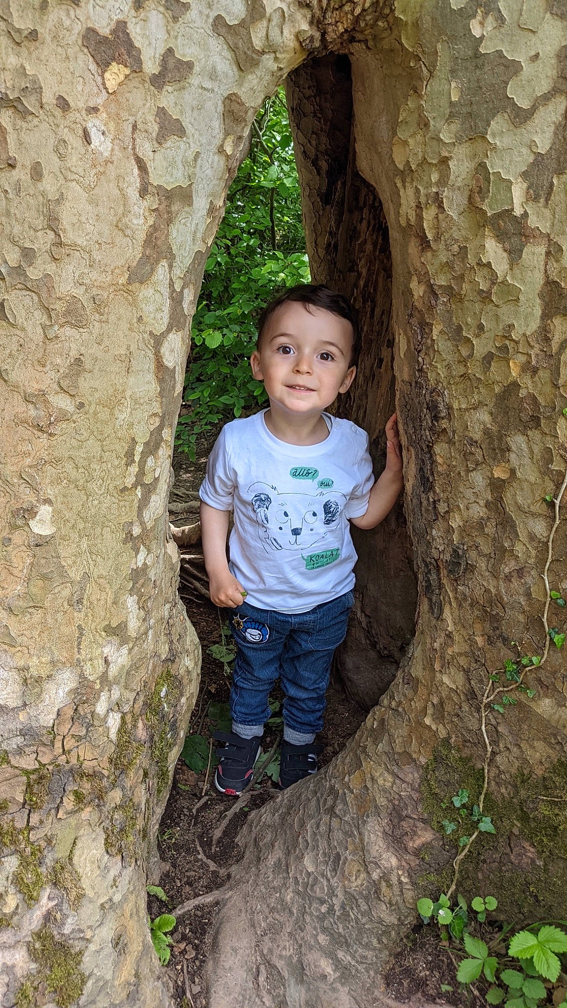 Valentin a rejoint le concours — aidez-le/la à gagner de superbes lots ! adaptation, biome, branch, forest, fun, grass, happy, jeans, joy, leg, leisure, people_in_nature, person, plant, smile, standing, toddler, tree, trunk, wood