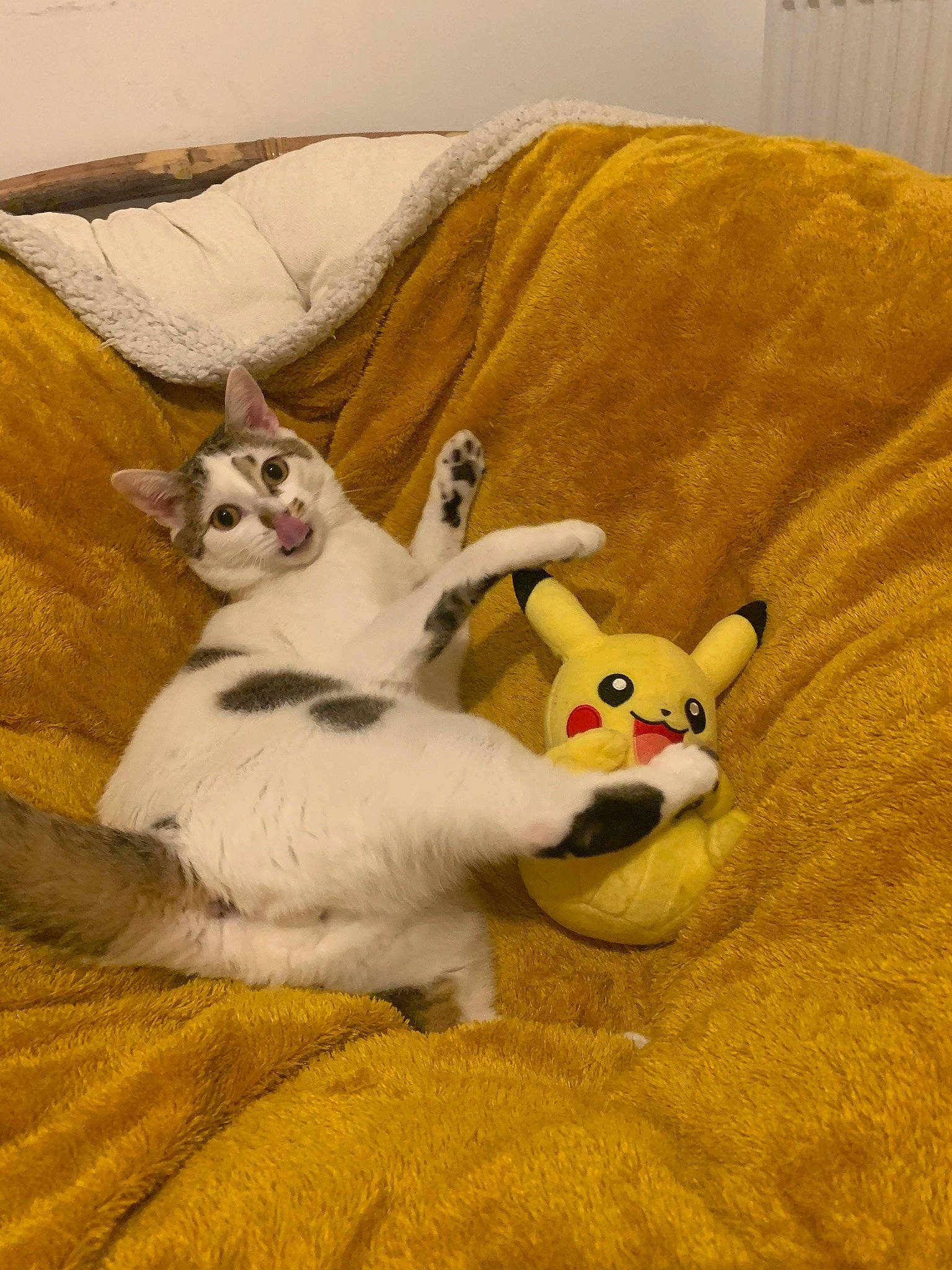 Mew a rejoint le concours — aidez-le/la à gagner de superbes lots ! art, bed, carnivore, cat, comfort, companion_dog, couch, dog_breed, fawn, felidae, flooring, fur, happy, linens, paw, small_to_medium_sized_cats, tail, toy, whiskers, wood